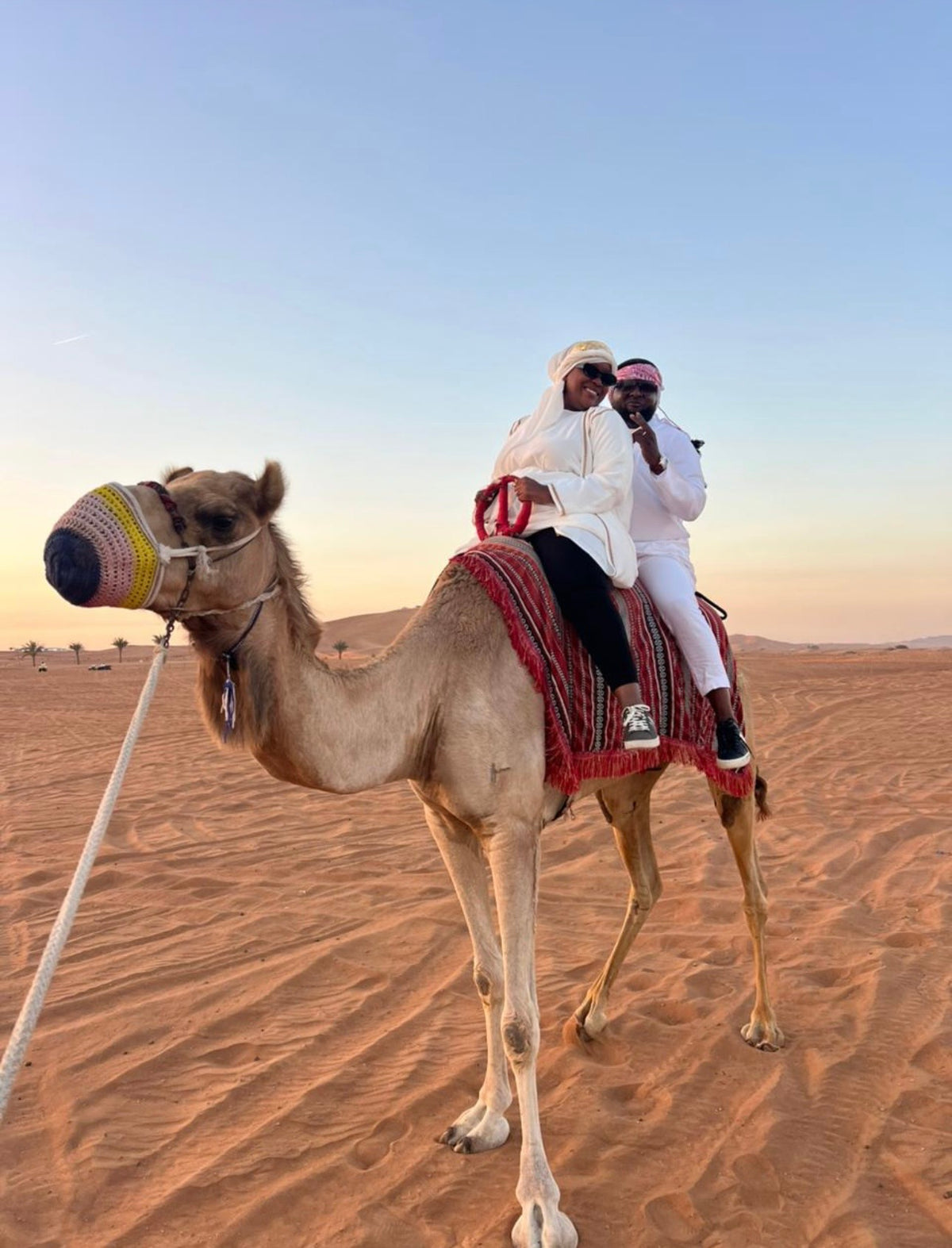 7 Day - Dubai Travel Package